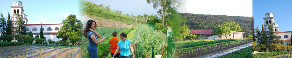 header_vrt.jpg